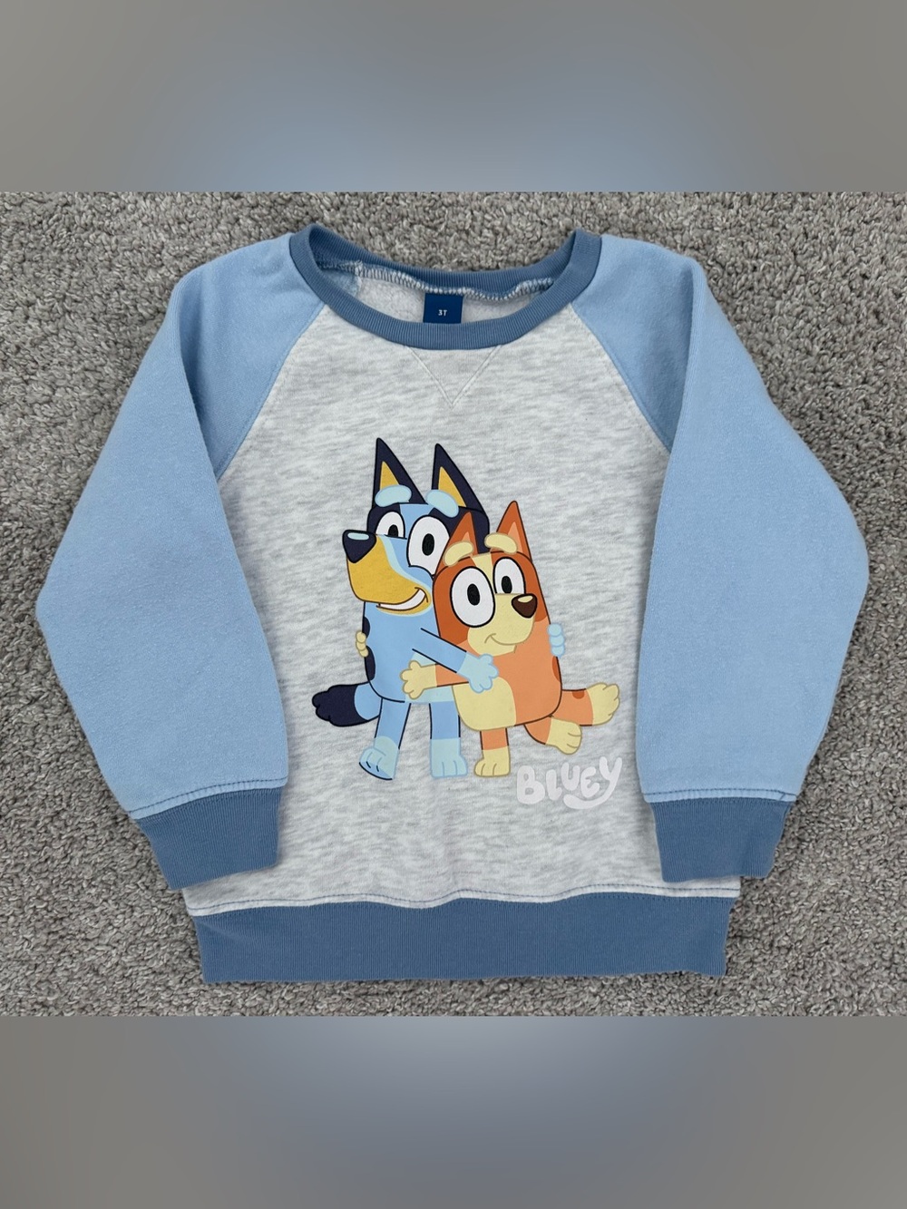Bluey Crewneck Sweatshirt